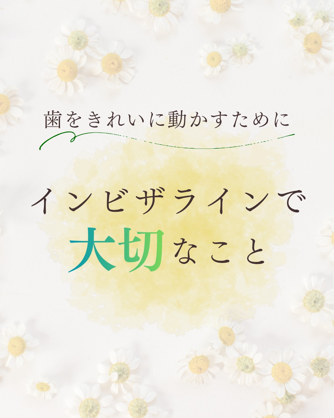 みなさん、こんにちは