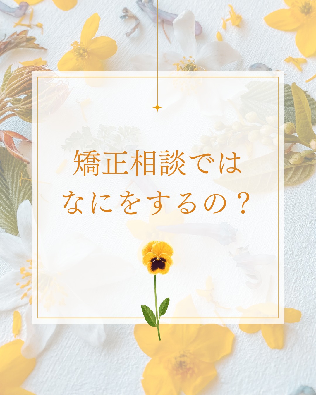 こんにちは大桑歯科DHのHです